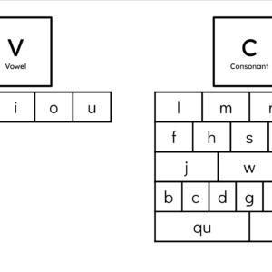 Orton-Gillingham Printable Phonics Lesson: Vowel + Consonant Words